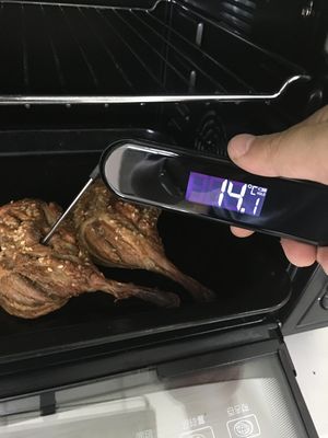 InstaProbe (Less Than .6 Seconds) Professional Meat Thermometer Digital, Instant Read Thermometer with OLED Display, IP67 Waterproof for Grill, BBQ, Cooking, Smoker, Home Brewing, NSF Certified